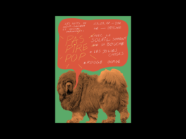 Arnaud Aubry design graphique illustrateur graphic designer illustrator