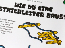 Arnaud Aubry design graphique illustrateur graphic designer illustrator