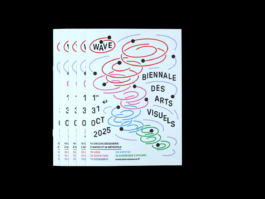 Arnaud Aubry design graphique illustrateur graphic designer illustrator