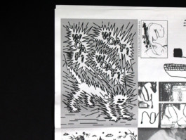 Arnaud Aubry design graphique illustrateur graphic designer illustrator graphiste Nantes